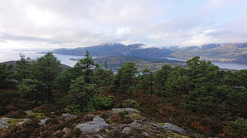 Towards Bogøya from Beljaråsen