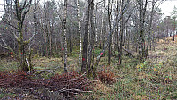 Too many trail markers..? ;)