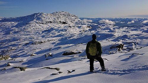 Endre looking at Skrott and Breidablik from the descent from Geitafjellet