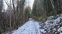 Trail/road from Tvilde