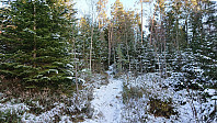 Trail toward Håmyrane
