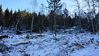 Asceding toward Grauaåsen
