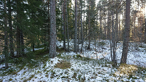 The summit area at Grauaåsen