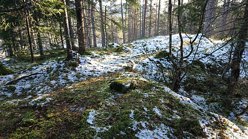 The summit of Grauaåsen