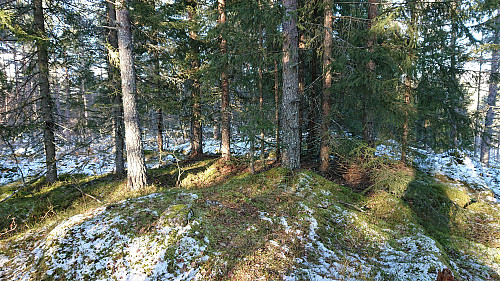 The summit of Grauaåsen