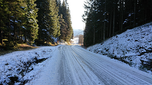 Vinjadalen