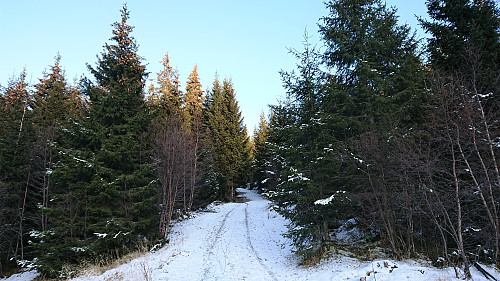 Gravel road toward Sonvesåsen