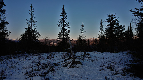 Sonvesåsen