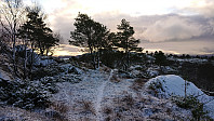Animal track towards Vestrefjellet
