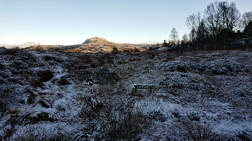 Marked trail toward Ilefjellet