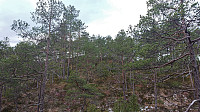 Approaching the summit