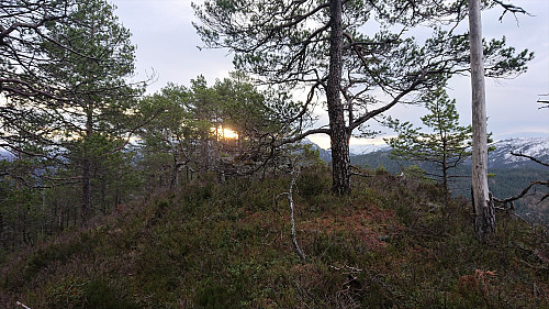 The summit of Sverrestuven