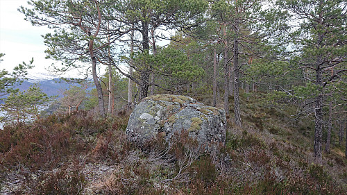 The highest point at Sverrestuven