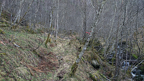 Red trail markers
