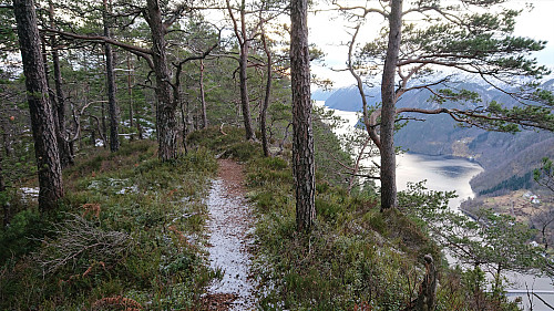 Trail along the ridge