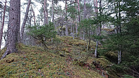 Deer tracks at Husafjellet