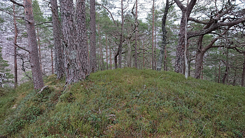The highest point at Husafjellet