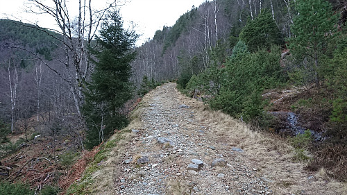 Tractor road toward Kleiva