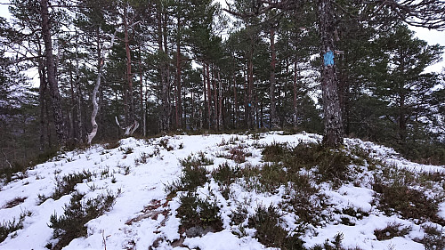 The summit area at Storenipa
