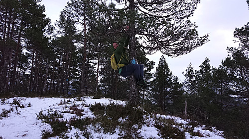 Endre above the summit of Storenipa ;)