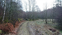 Tractor road from Rolse