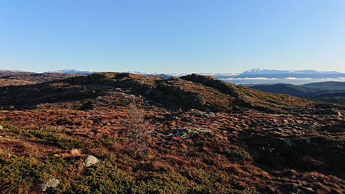Approaching the summit of Stølafjellet