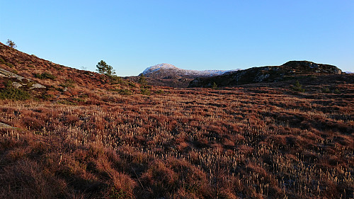 Tysnessåta from the ascent to Ilefjellet