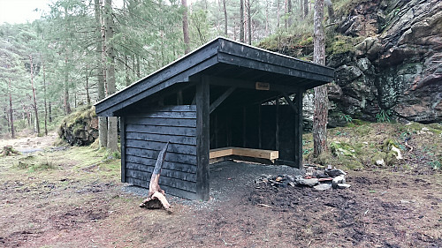 Tjørnahuk