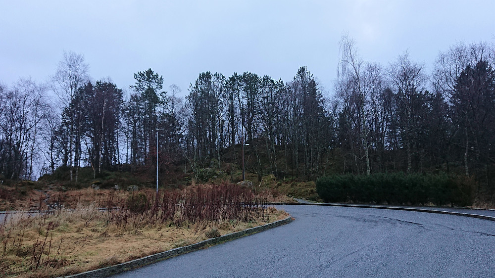 The highest point at Hellefjellet seen from the north