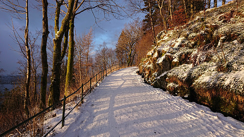 Fløysvingene