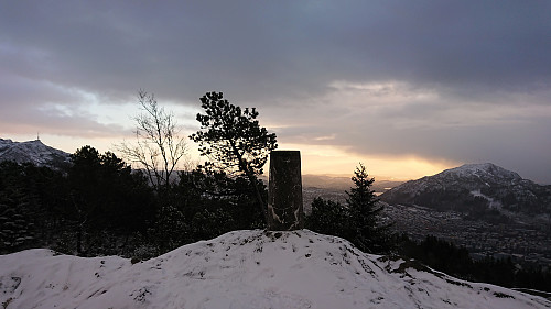 Fløyvarden
