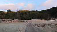 Tractor road up from Elvika