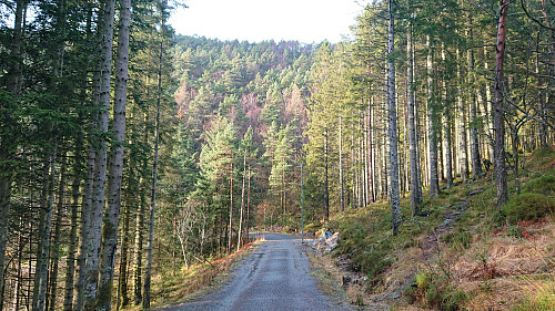 Heading south on Løvstien