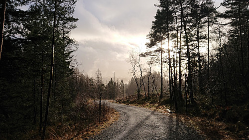 Løvstien
