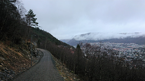 Heading north on Løvstien and almost at its abrupt end