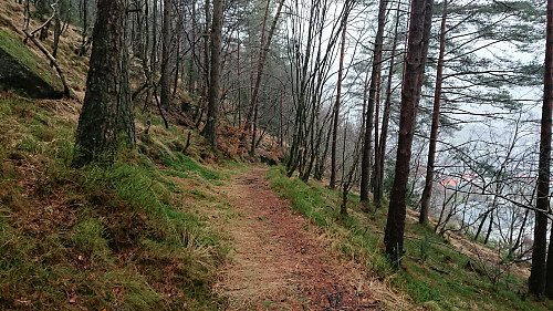 Trail down from Løvstien, which would soon disappear...
