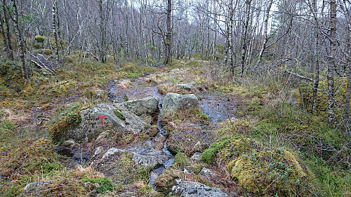 Trail/stream south of Skardstjørna
