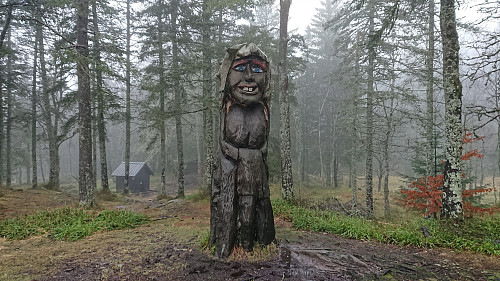 Trollskogen at Fløyen