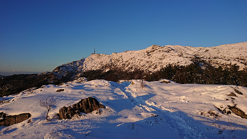 Ormhaugen with Ulriken in the background