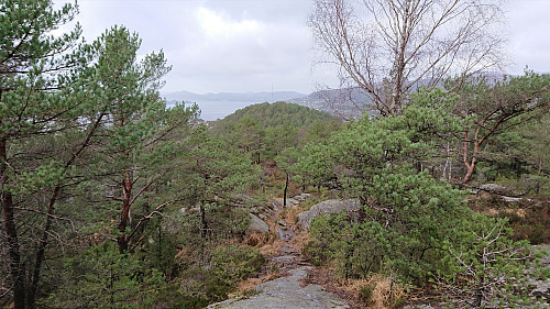 Trail from Ørneberget NV to Fagerdalsskaret (and Fagerdalsfjellet)