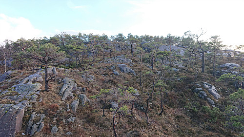 Looking back at the summit of Russåsen