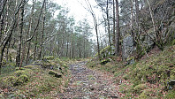 Trail to Dyviksåta