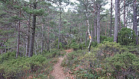 Marked trail to Dyviksåta