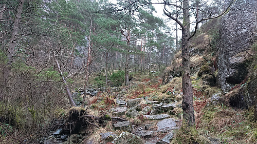 Trail towards Utslettefjellet