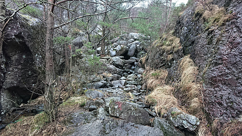 Marked trail towards Utslettefjellet
