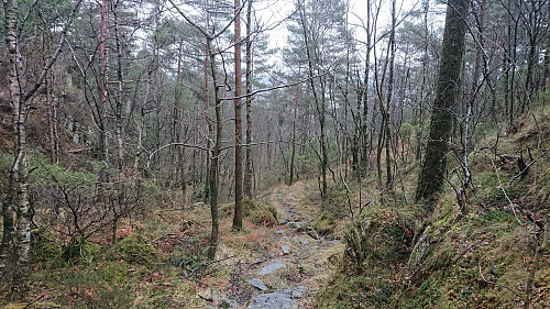 Trail east from Utslettefjellet