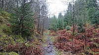 Wet trail towards Litla Gullberg