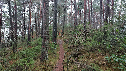 Trail towards Litla Gullberg