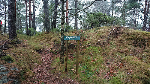Litla Gullberg