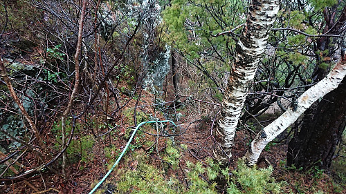 Steep southern descent from Litla Gullberg